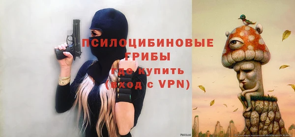 ешки Зерноград