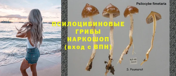 ешки Зерноград